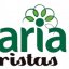 Flores Santamaría