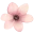 Floristería los Pinos