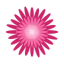 Floristería María