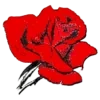 Floristería Miguel