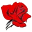 Floristería Miguel