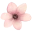 Floristería Sol