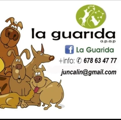 La Guarida del Elefante