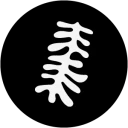 Médula Floristería