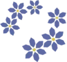 Quinta Mayólica