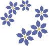 Quinta Mayólica