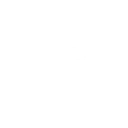 Salsia