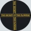 The Secret Of The Flowers
