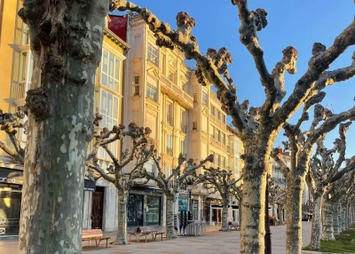 Agut & Plaza Asesores