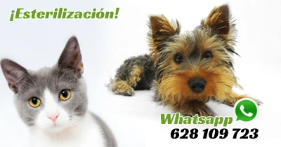 Clínica Veterinaria La Salut