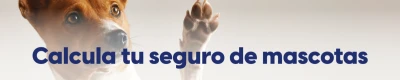 COHEBU Sanlúcar V Centenario