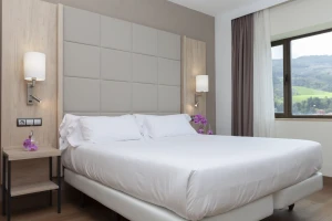 Hotel Puerta de Bilbao