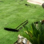 Jardinería Costa Verde