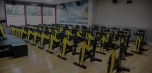 Lowfit Centros Deportivos